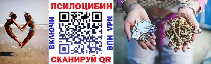 Псилоцибиновые грибы Cubensis  Купить где  Краснознаменск 
