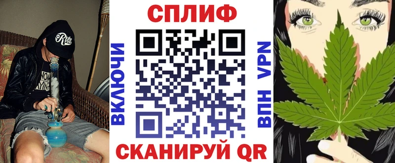 Купить закладки  Краснознаменск  Канабис тримм 
